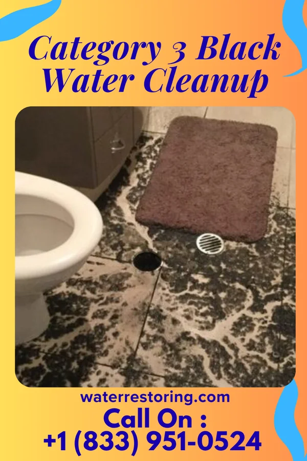 Category 3 Black Water Cleanup in Reedurban, OH