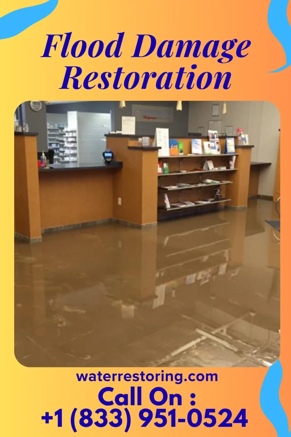 Flood Damage Restoration in Reedurban, OH