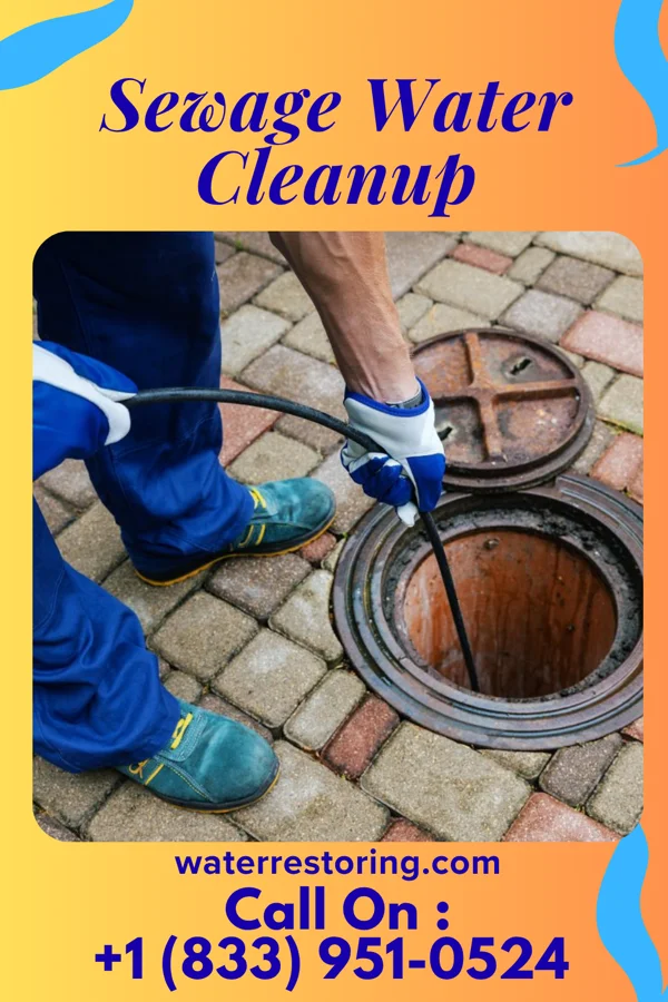Sewage Water Cleanup in Reedurban, OH